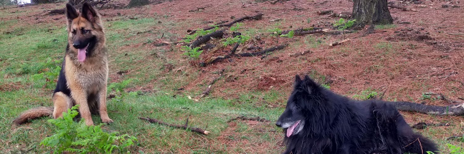 Eriz Torres (torreseriz) banner