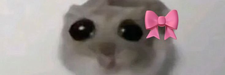 pqpjamis's profile banner image