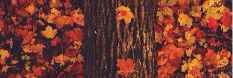 KlimKlimka's profile banner image