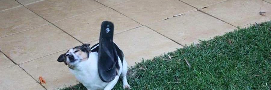 Xitter Dot Com User banner