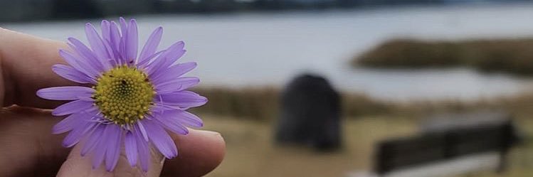 jj_machimida's profile banner image