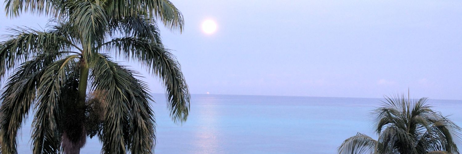 Obscuria514's profile banner image