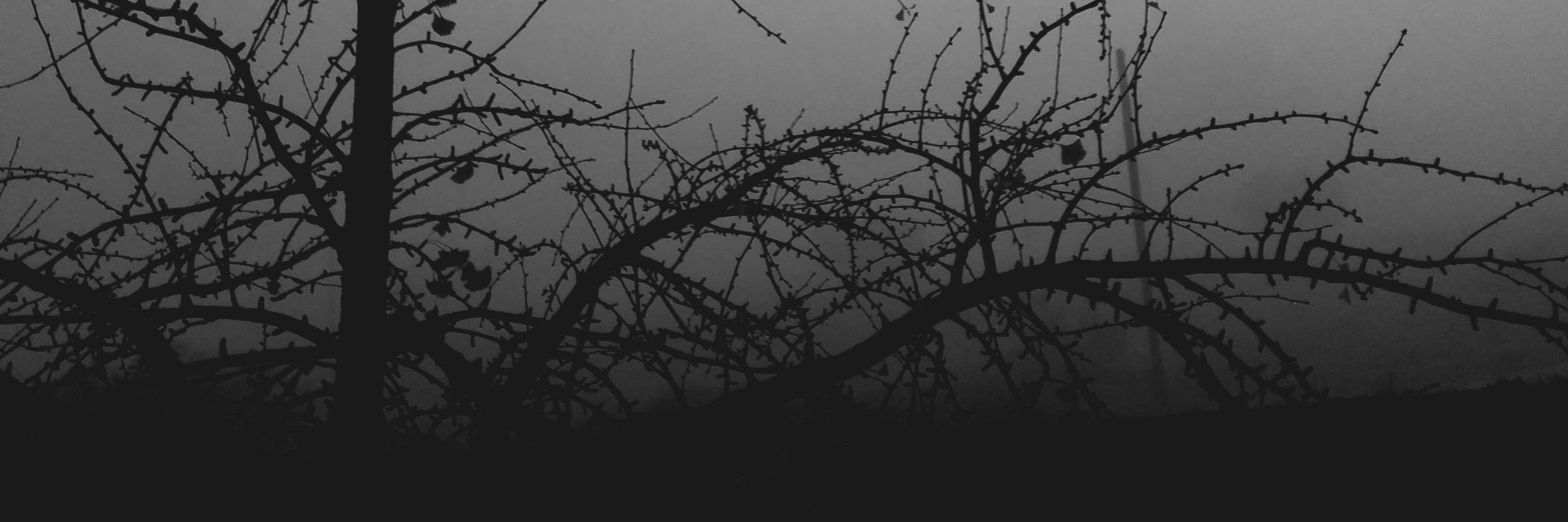 KyroDesigner's profile banner image