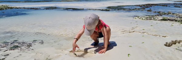 CarineDecosterS Profile Banner