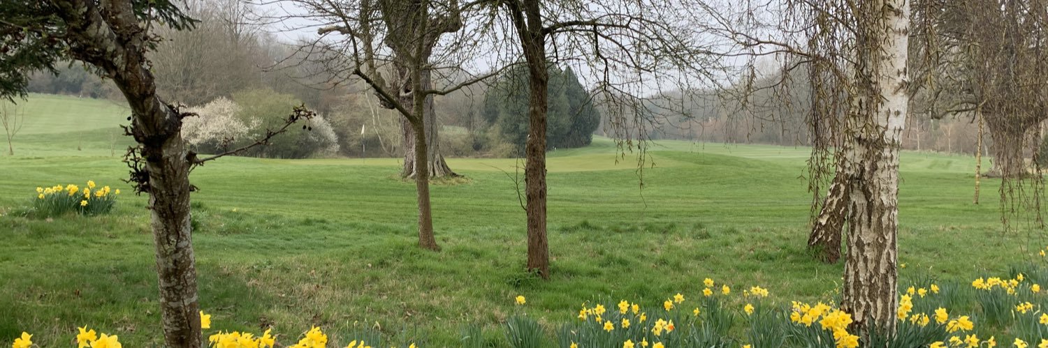 grinham1's profile banner image