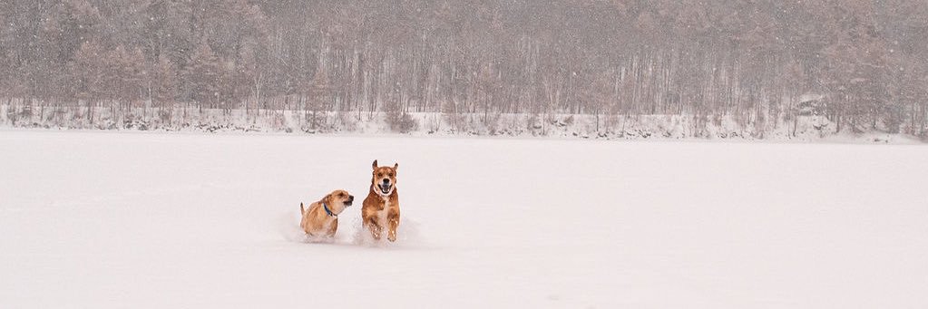Catherine Patch, M.Ed. banner