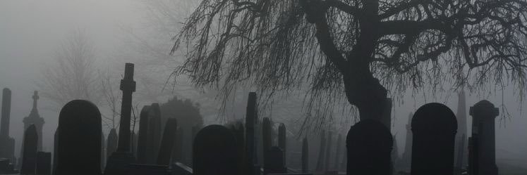 colettesays's profile banner image