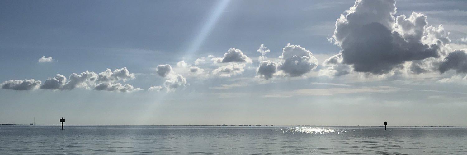 BudapecanShellz's profile banner image