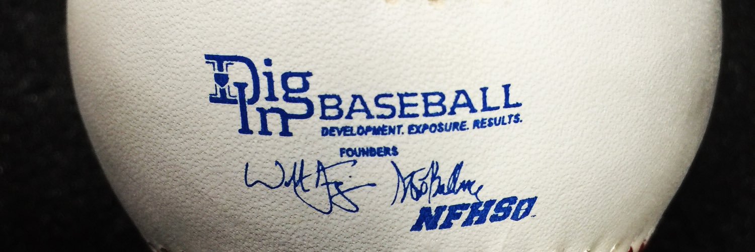 Dig In Baseball banner