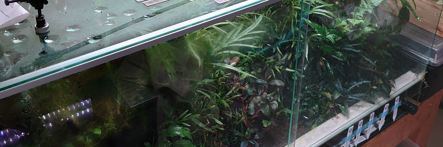 660KB@トウキョー banner