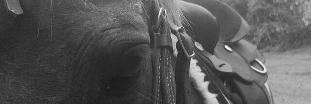 DanielleFritzen's profile banner image