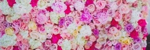 Maria_BLopez's profile banner image