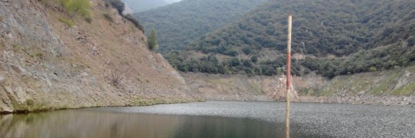 alsumo95 Profile Banner