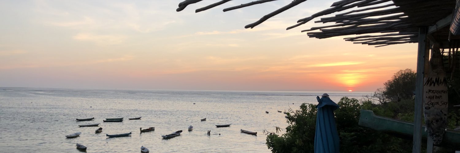 Hava Starkman banner