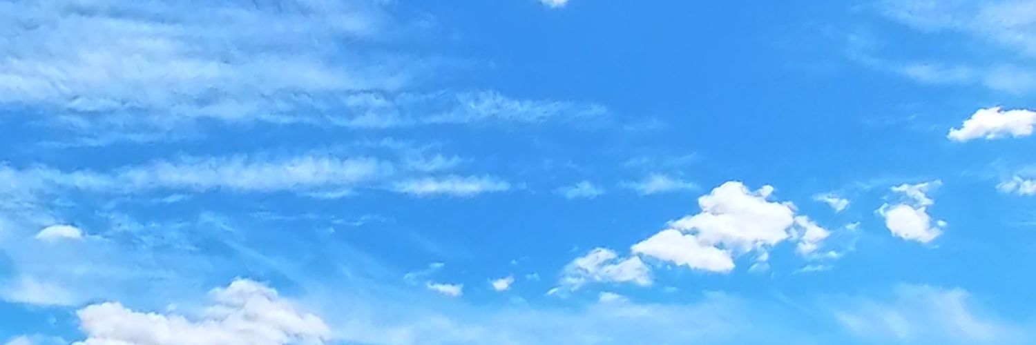 mariceeee's profile banner image