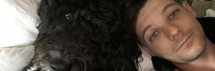 ariiwell's profile banner image