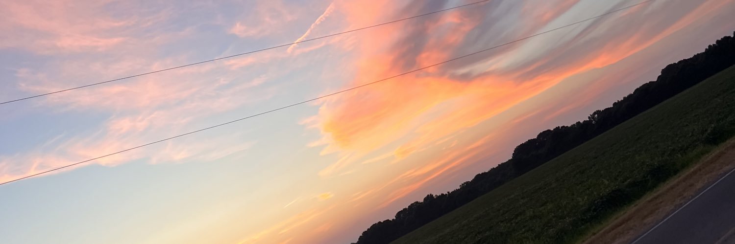 MsMissT22's profile banner image