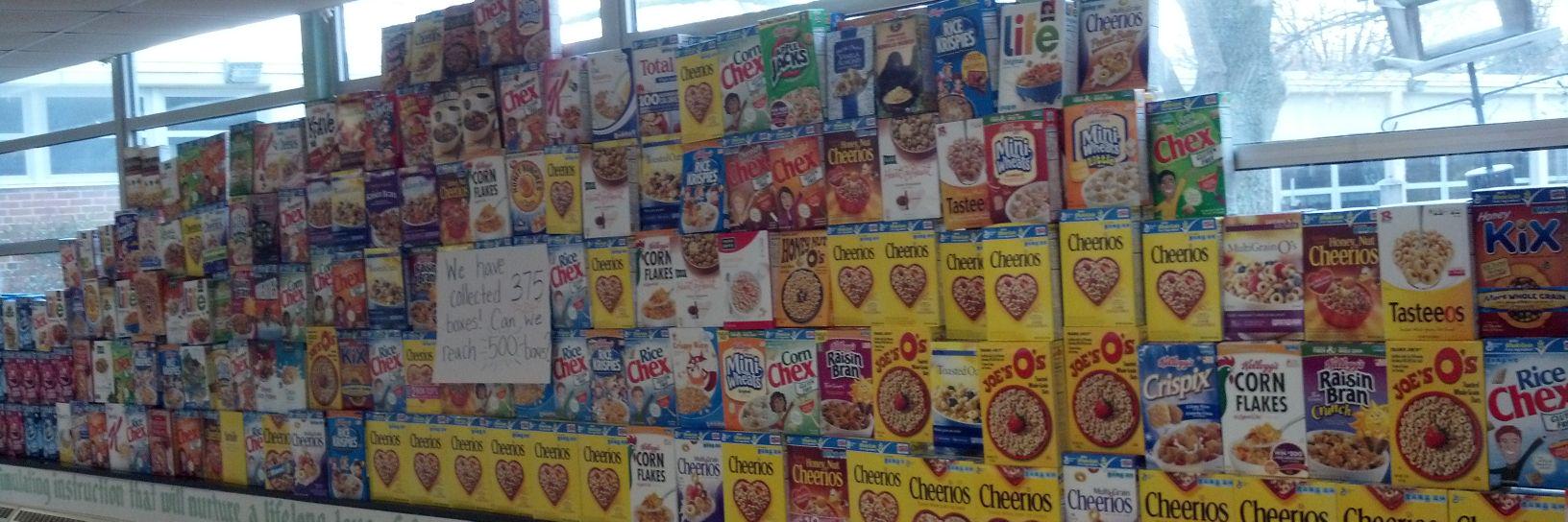 Cindy Skinner (she/her) banner