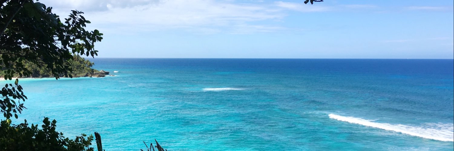 marichalc's profile banner image