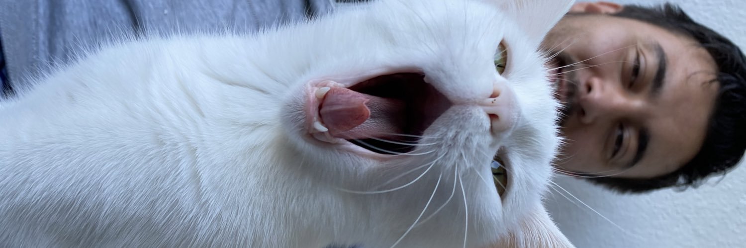 dipteying's profile banner image