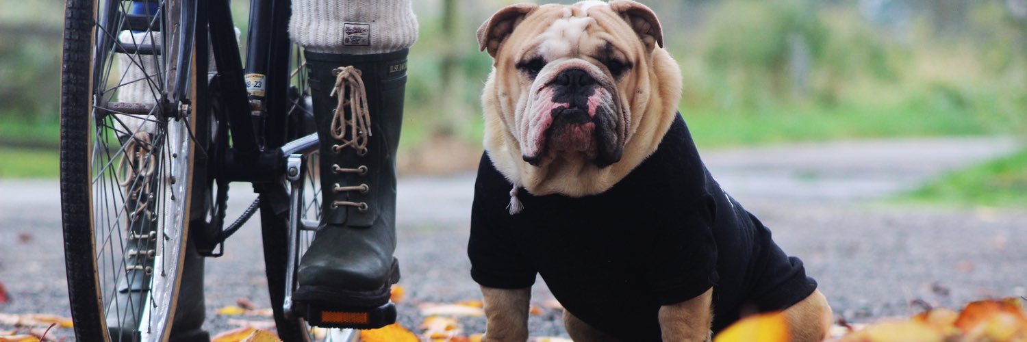 OliverBulldogs's profile banner image