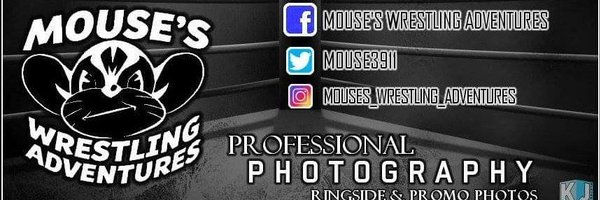 Mouse3911 Profile Banner