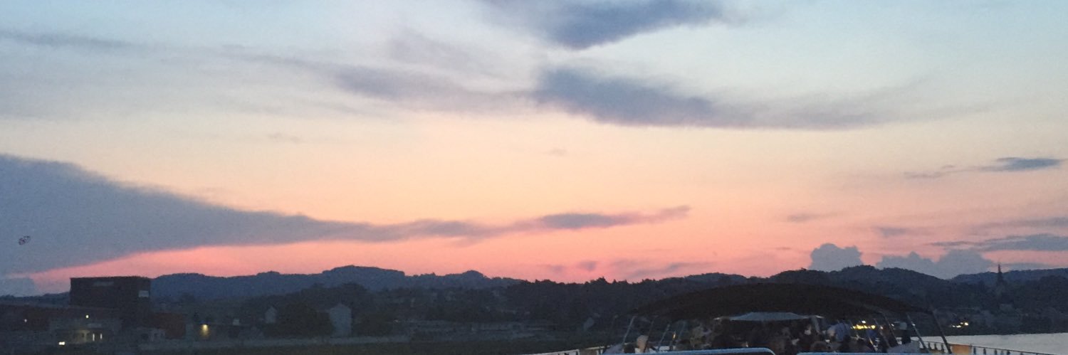 snjavi_'s profile banner image
