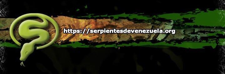 Serpientes de Venezuela banner