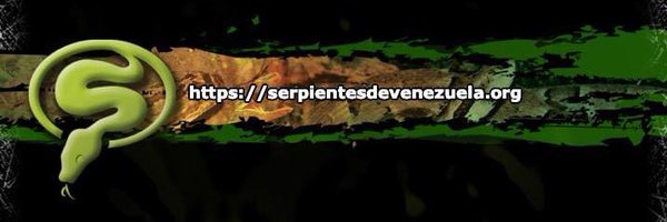 Serpientes de Venezuela Profile Banner