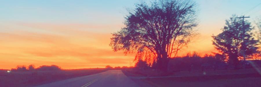 ChloeHillll's profile banner image