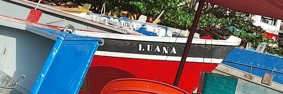 lua_theo's profile banner image