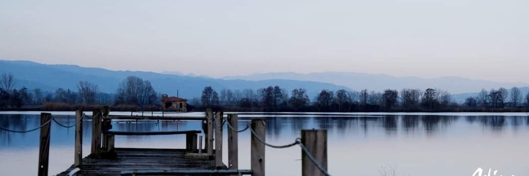 StefaneX76's profile banner image