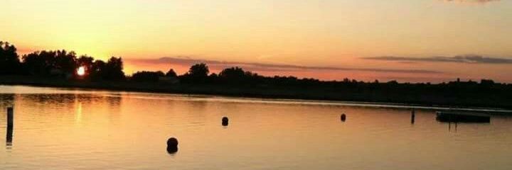 ssmithcf's profile banner image