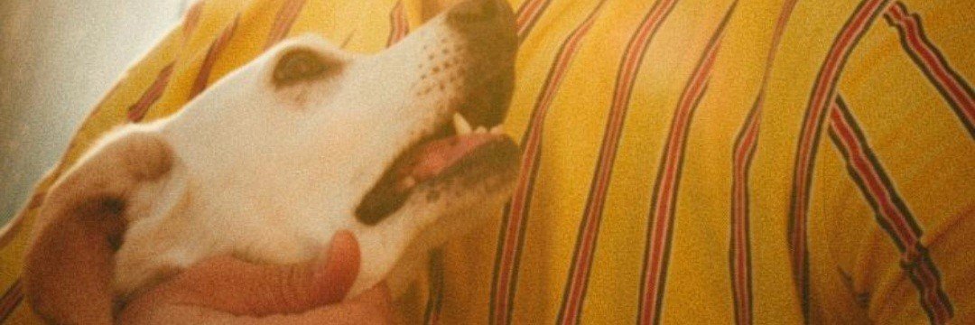 davoo_7's profile banner image