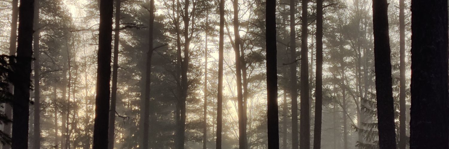 tmpaivansalo's profile banner image