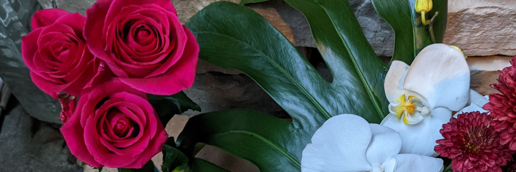 sen1ya's profile banner image