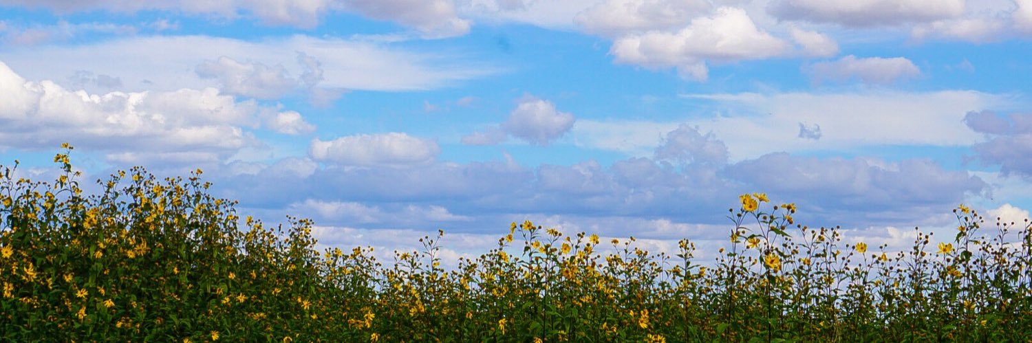 cdcutrell4's profile banner image