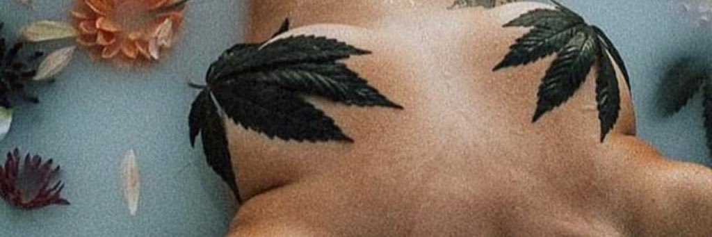 Bertog07's profile banner image