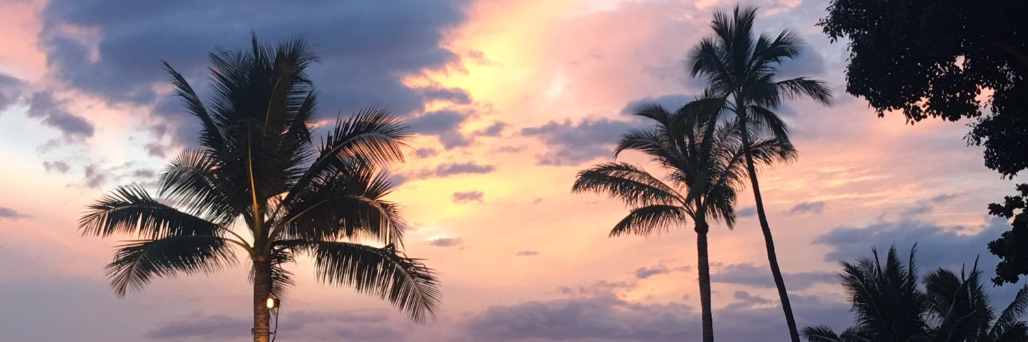 vloewen's profile banner image