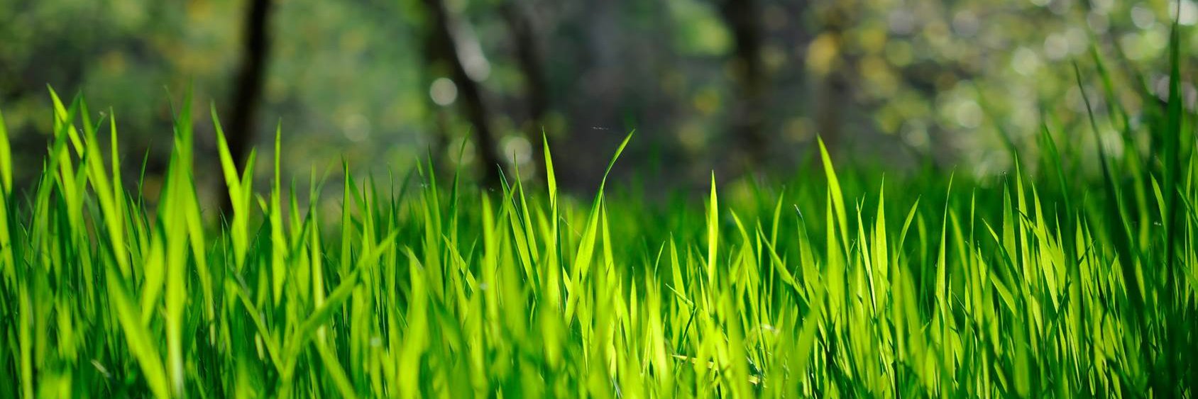 acjuly269's profile banner image