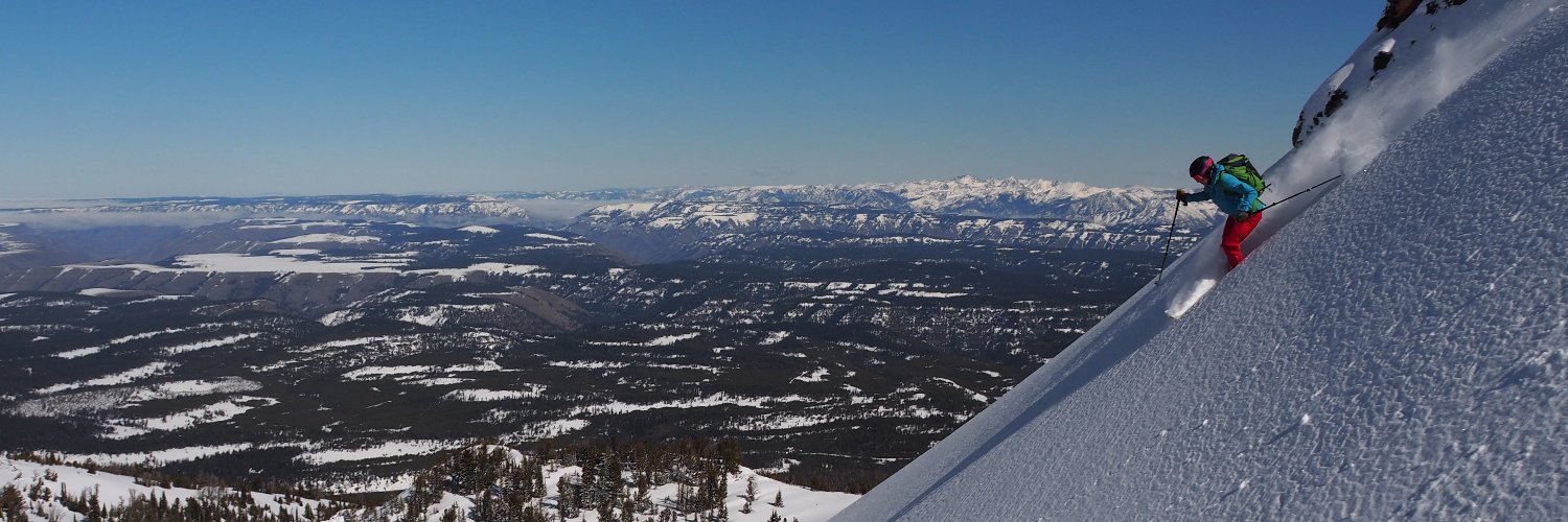 Dominik Schneider banner