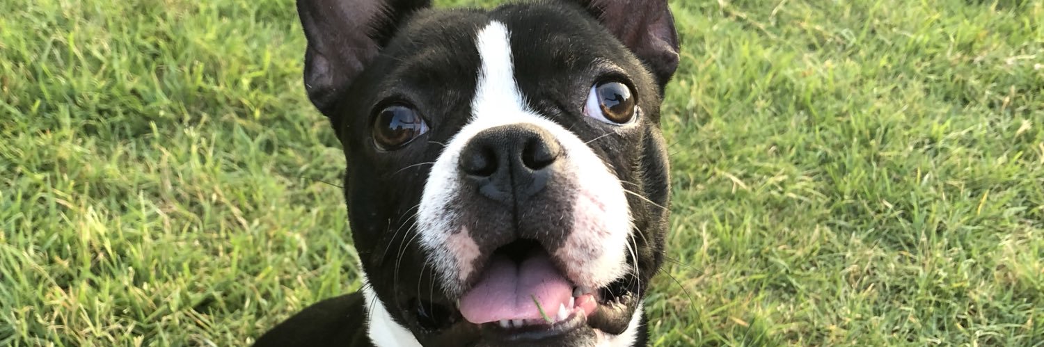 kaleejames's profile banner image