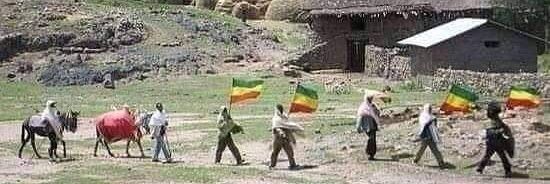 Debebe Seifu Jr. banner