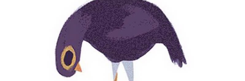 FrailTreasure's profile banner image