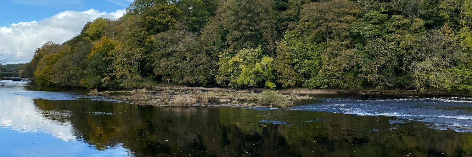 teesriverstrust's profile banner image