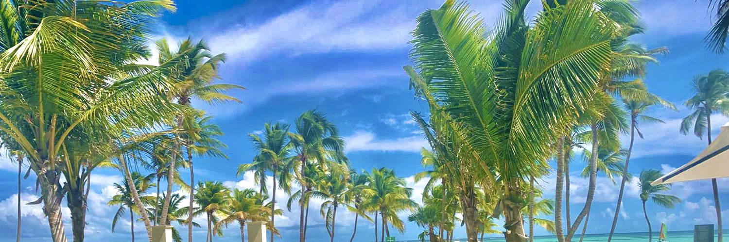 LizzieeeG's profile banner image