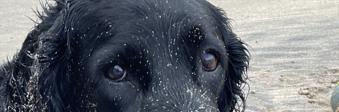 thea_b1's profile banner image
