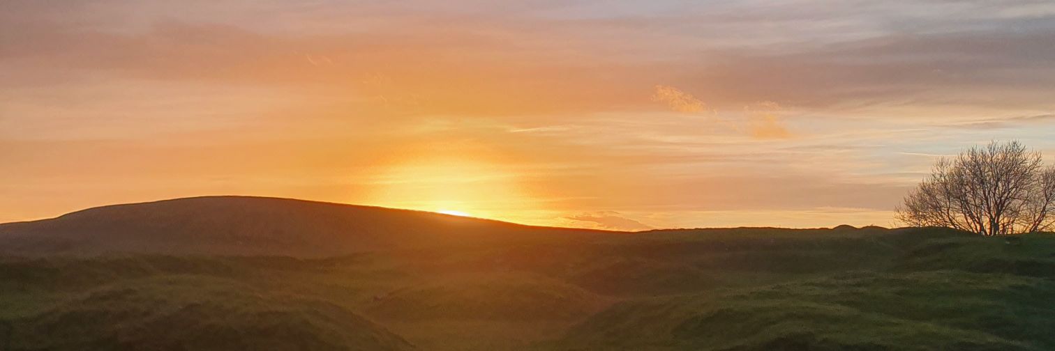 davebelly1985's profile banner image