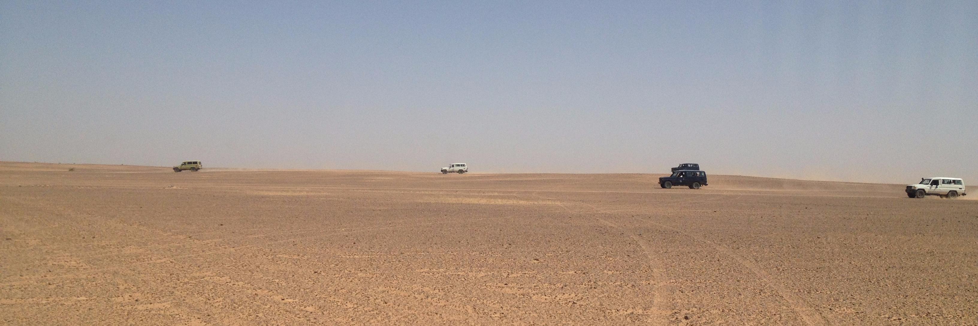 Tom Stevenson banner