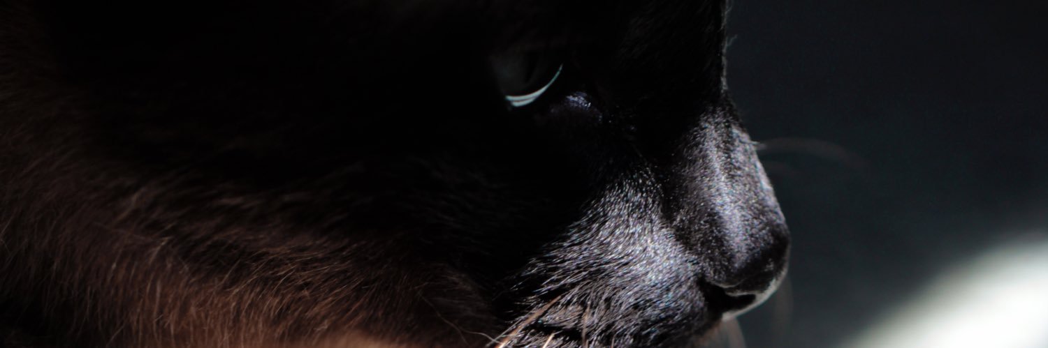 SmallBalIs's profile banner image